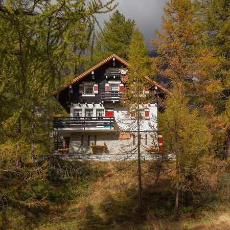 I Larici - Appartamento Per Sognare Alpe Devero Exterior foto
