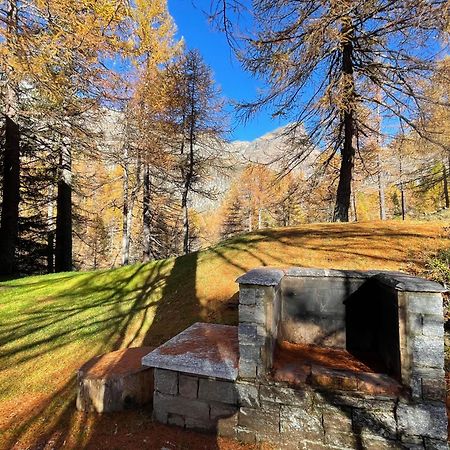 I Larici - Appartamento Per Sognare Alpe Devero Exterior foto